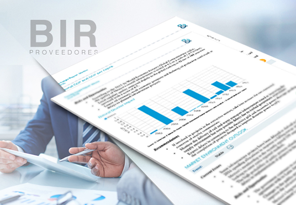Báo cáo BIR giúp cho doanh nghiệp có cái nhìn chi tiết và đánh giá cụ thể nhất